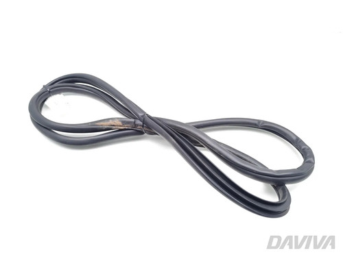 Lexus rear door body rubber - nx,