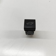 Lexus NX MK1 AZ10 Tailgate